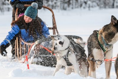 Huskyajelua 