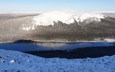 Ankea marraskuu? Olen eri mieltä!