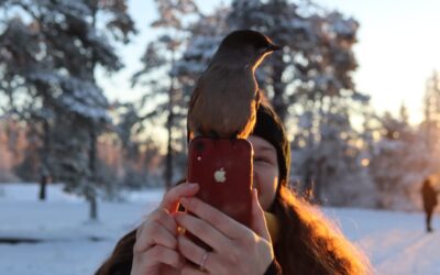 The most instagrammable places in Ylläs