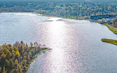 When is the Best Time for Fishing in Ylläs?