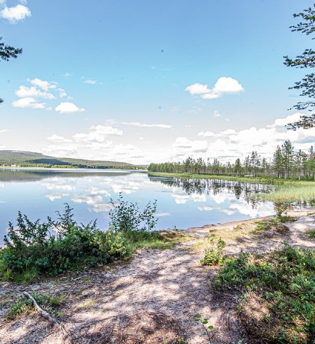 Best Fishing Spots in Ylläs
