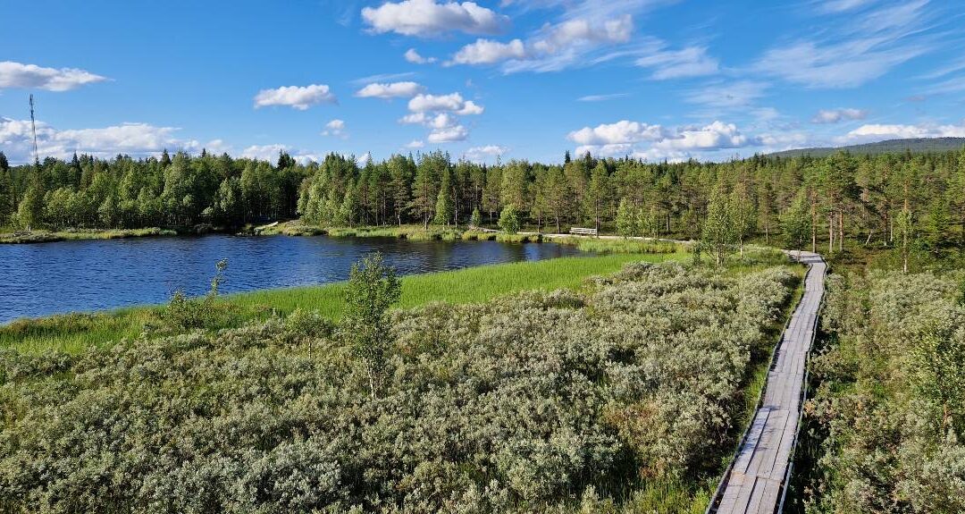 What are the most popular summer activities in Ylläs?