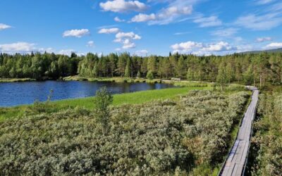 Mitkä ovat suosituimmat kesäaktiviteetit Ylläksellä?
