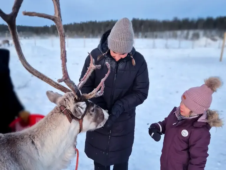 porosafari_yllas_768 A woman and a child feeding a reindeer at a reindeer farm in Ylläs.