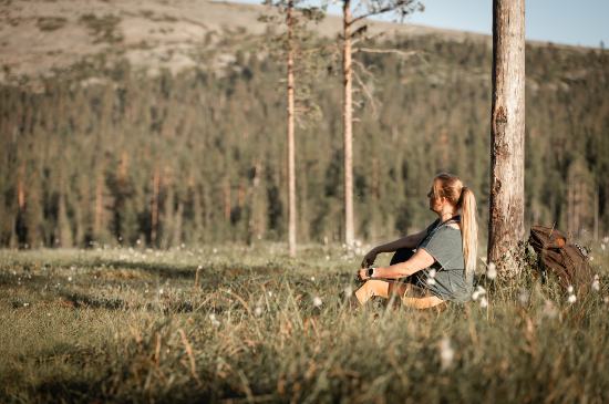 Person resting against a tree in a grassy meadow at Ylläs, with a backpack beside them and fell landscape in the background